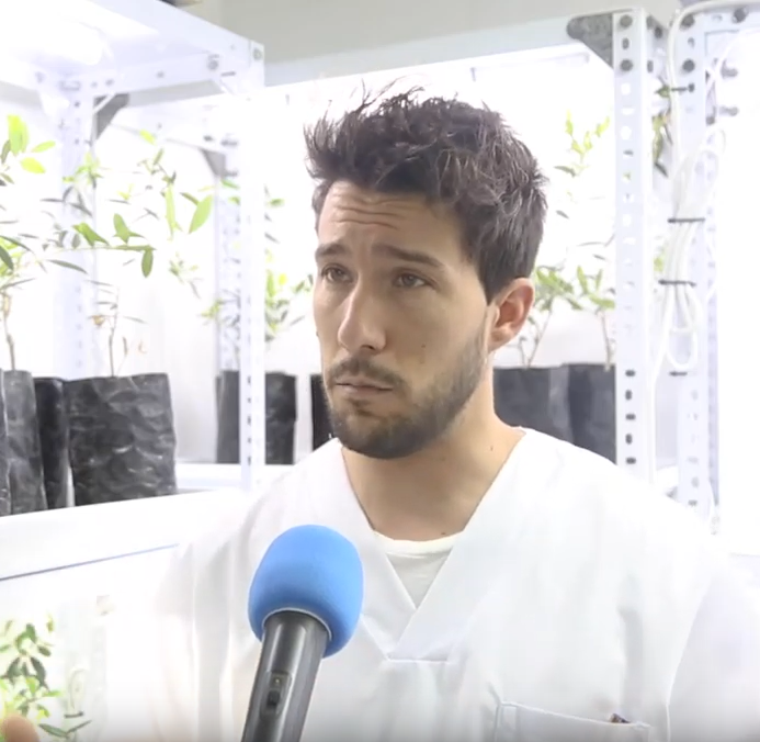 DOMCA, Innovative Food Solutions