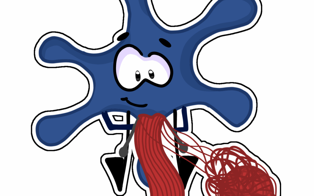 Perfil competencial: RESOLUCIÓN DE PROBLEMAS